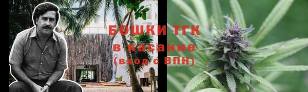 молекула духа Нязепетровск