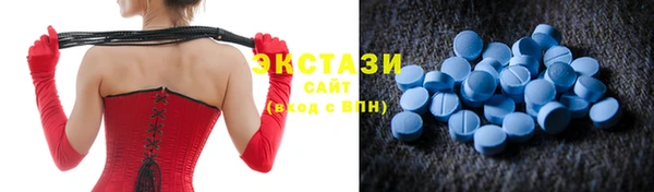 гашик Няндома