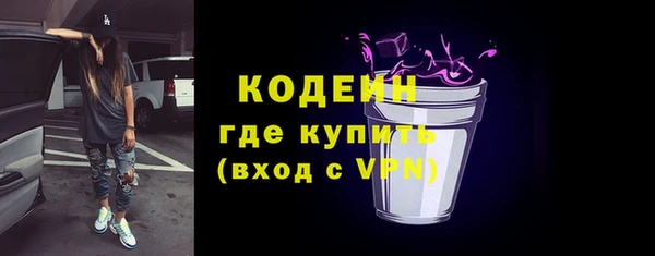 гашик Няндома