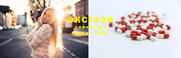 гашик Няндома