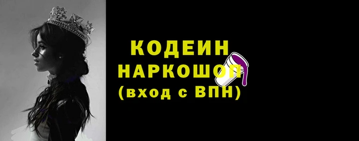 гашик Няндома