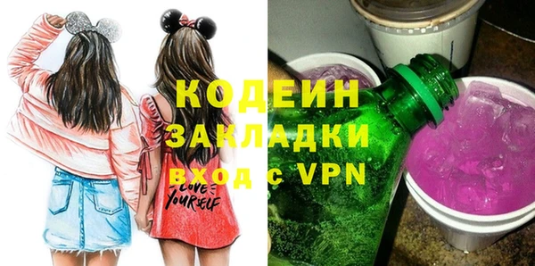 гашик Няндома