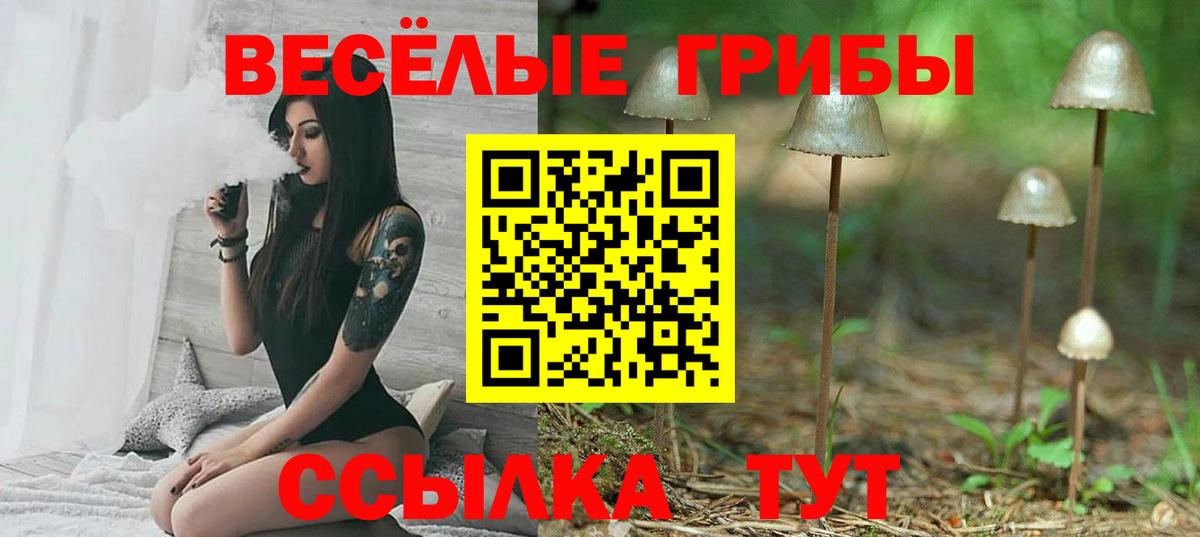 Галлюциногенные грибы Magic Shrooms Касимов