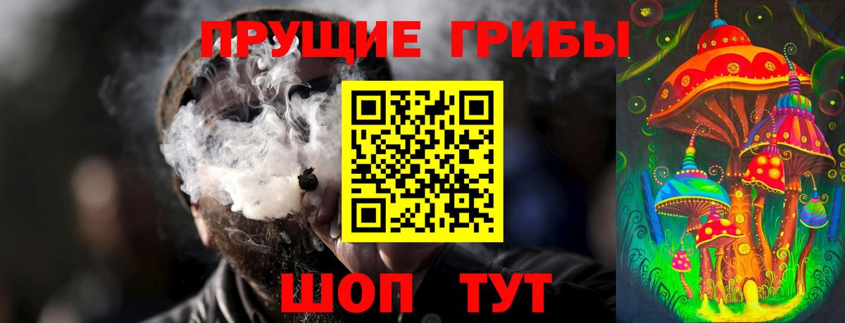 Псилоцибиновые грибы Psilocybe  Касимов 