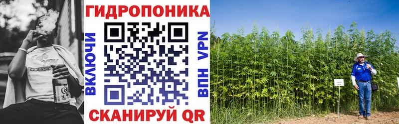 Шишки марихуана Bruce Banner  Касимов 